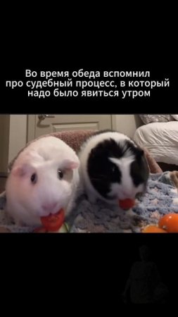 склероз дело такое