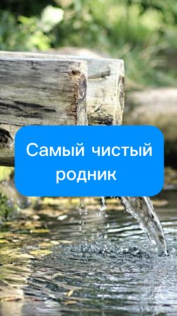 Самый чистый родник