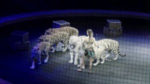 Алиса Нестерова - дрессура хищников / «Принцесса цирка» (2022) FHD