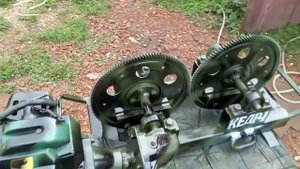 Кедротряс кедр 1 м2