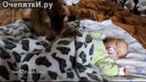 Кот укладывает спать малыша
