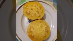 Томатный Гном СЛАДКАЯ СЬЮ в разрезе. Коллекционный со?