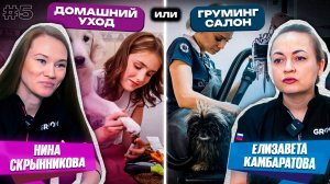 ДОМАШНИЙ УХОД НЕ ЗАМЕНИТ ГРУМИНГ? | Беседа с топ-грумерами