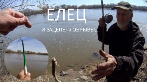Рыбалка на Ельца. Оставили кучу крючков и грузил на этом месте!