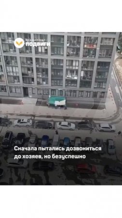 Неравнодушные соседи страховали кота, который застрял на 21 этаже