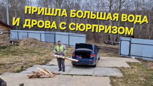 БОЛЬШАЯ ВОДА и ДРОВА с СЮРПРИЗОМ