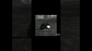 подборка тик ток ~WildCraft~ 2 часть