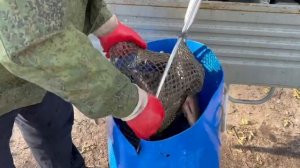 28.04.25 г. Парк отдыха водопад