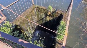 Озеро (р. Фроловка) (д. Колесники, Монастырщинский район, Смоленская обл.)