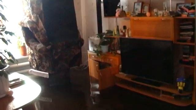 Специальный выпуск - 13-03-15 - Заречка б