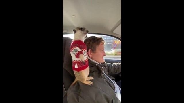 Смешные истории ЛУЧШИЕ ПРИКОЛЫ ССЫЛКА В ОПИСАНИИ!