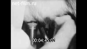 1980г. совхоз Ленсоветовский. Ленинградская обл.