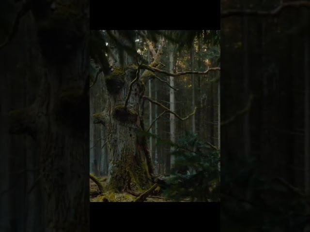 ведьмочка