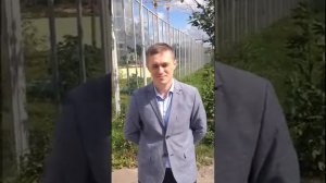 Отзыв о работе компании sltok (1)