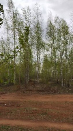 Ну и ветрина