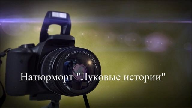 ГКОУ школа-интернат №2 г. Армавир Краевой фестиваль детского творчества. Фотоискусство смотреть онлайн