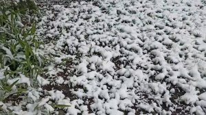 Екатеринбург.  29 апреля. У природы нет плохой погоды