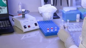 SGFilm №36 Рекламный ролик. Мастер-класс ДНКОМ. Работа с реальными реагентами и препаратами