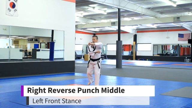 Yul-Guk 율곡 | Purple Belt Taekwondo America Form смотреть онлайн