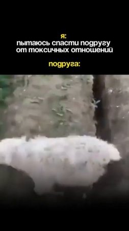 ЕСЛИ ОНА НЕ ПОНИМАЕТ