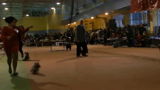 Изображение 137 смотреть онлайн