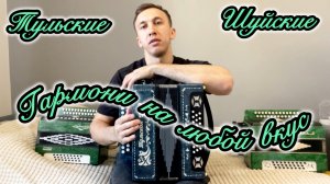 Купить гармонь Тульская 301 Чайка 2