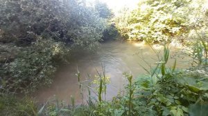 Белая  скала.Крым.#Белаяскала#Крым#