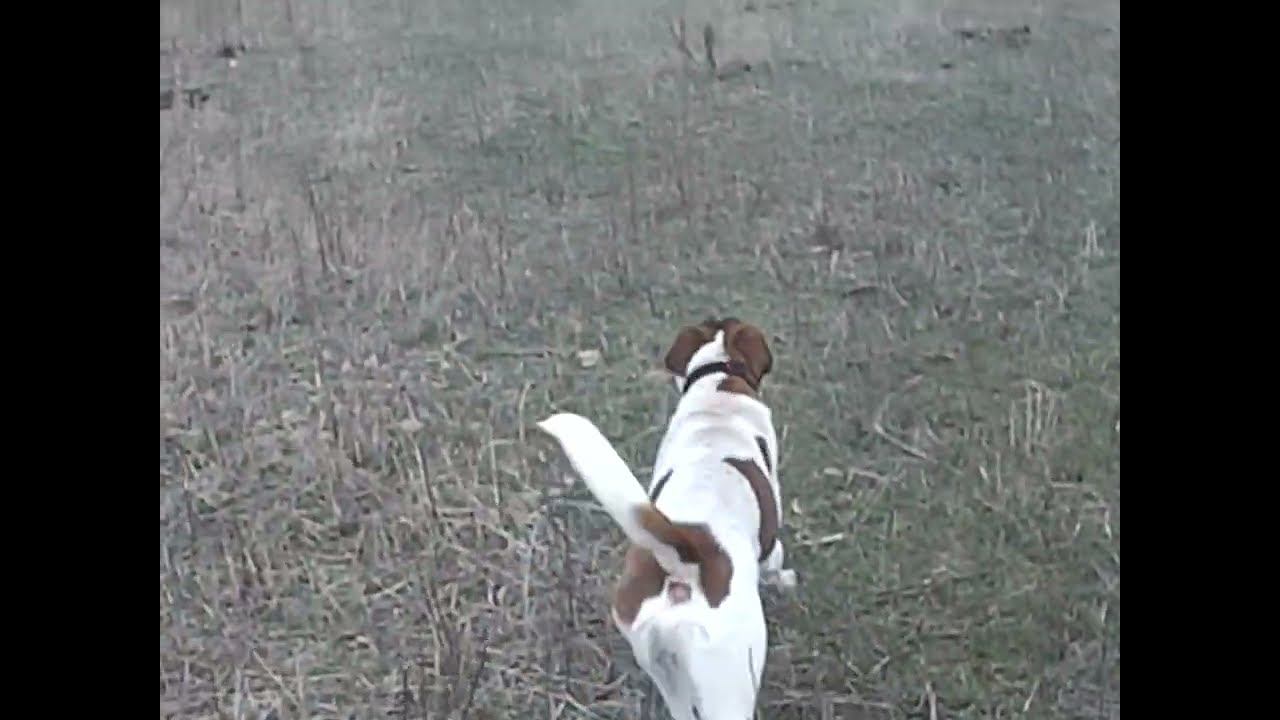 17.03.2025 ЧТО ДЕЛАТЬ? : ЛПХ В ОПАСНОСТИ смотреть онлайн