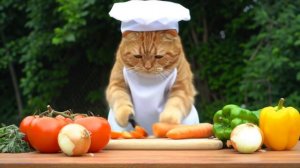 Baked fish with vegetables. запечённая рыба с овощами