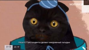 Праздничный выпуск "Мрр вашему дому" к 10 летию т/к Москва 24