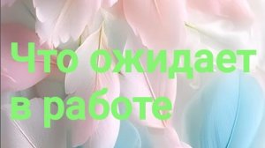 Что ожидает в работе в ближайшем будущем. Три варианта. ✨✨✨