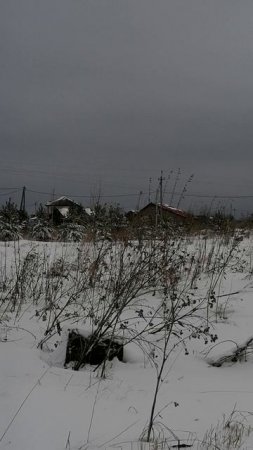 Снегопад 29 апреля.