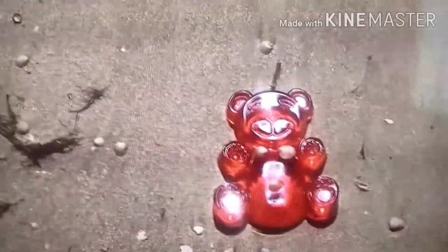 Желейный медведь Валера смешные моменты с моря#медведьвалера
