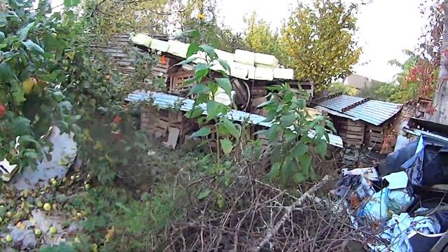 Хворост vermytechnology начало 13.10.2017. 1 смотреть онлайн