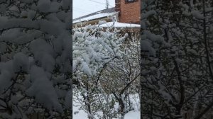 Север Башкирии в снегу!!! Снег идёт весь день!!!