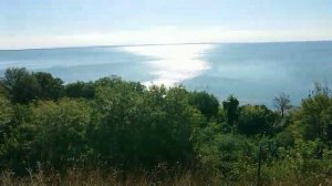 Керчь, лето. Как поют птицы!