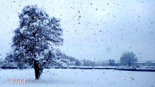Придуманное счастье исп Dan Bordian смотреть онлайн