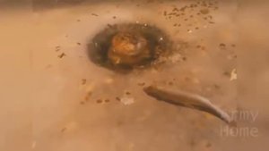 Приколы, эту страну не победить, 2017