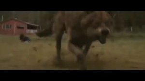 МЕМ БЕЗУМНО МОЖНО БЫТЬ ПЕРВЫМ