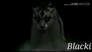 Страшилка|| Сестра...|| Collab|| Mentoss and Blacki|| WildCraft