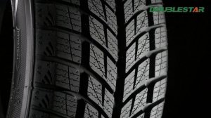 DOUBLESTAR DW09 WinterKing | Проморолик