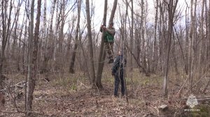 Зачем МЧС России и лесоохрана ставят в лесу фотоловушки?