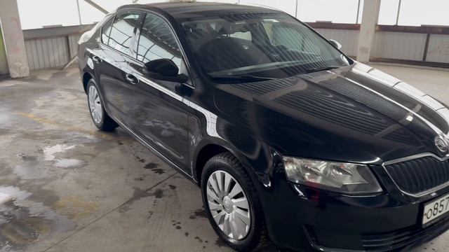 Обзор Октавия смотреть онлайн