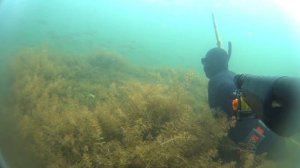 Среди Гигантов. Подводная Охота в Башкирии