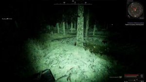 Тулево кабанов в припяти ШОК! SS ранг