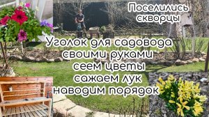 Уголок для садовода своими руками, сеем цветы, сажаем, наводим порядок. Поселились скворцы, первоцве