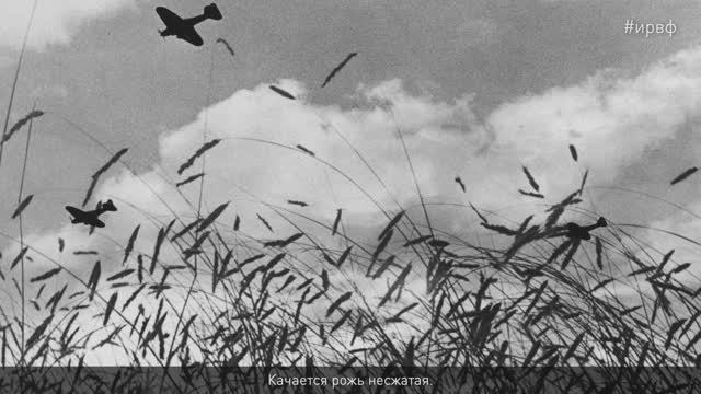 Юлия Друнина. «Качается рожь несжатая» смотреть онлайн