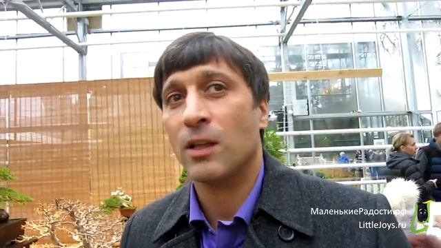 Выставка японских бонсай Мир в глиняной плошке 2015 - 2016 год