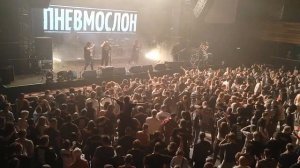 ПНЕВМОСЛОН Wild Energy Fest 9 июня 2023 г