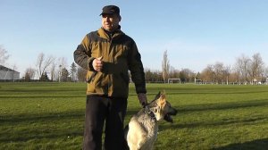 Питомник ГРАНД ЭНИМАЛС